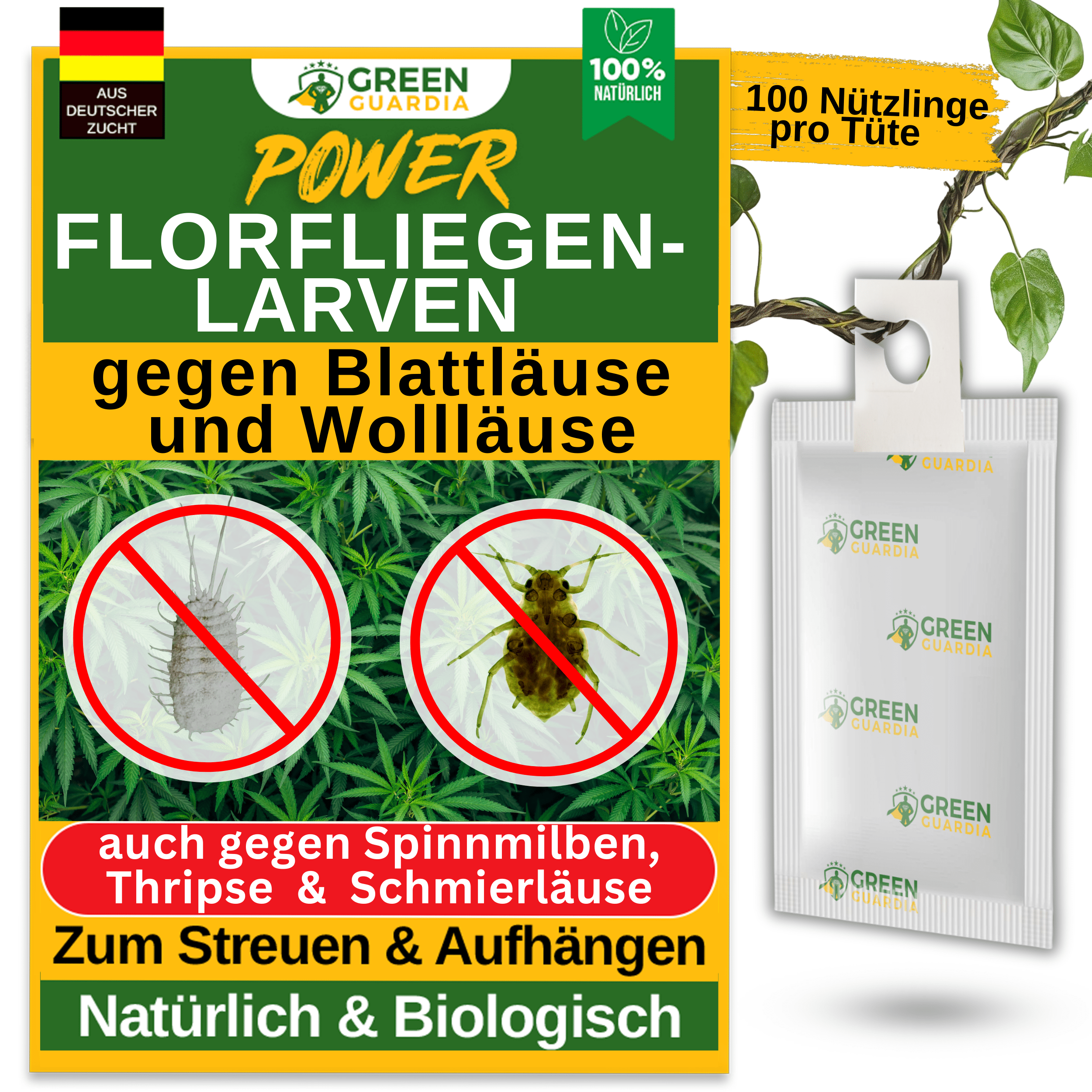 Florfliegenlarven - Eier gegen Blattläuse, Wollläuse zum Aufhängen oder Streuen - Green Guardia - Ihr Experte für Schädlinge und Pflanzen