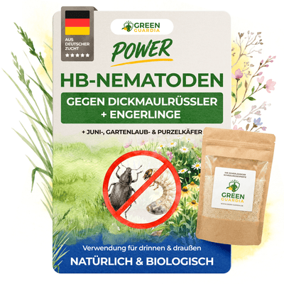 HB - Nematoden gegen Dickmaulrüssler & Engerlinge - Green Guardia - Ihr Experte für Schädlinge und Pflanzen
