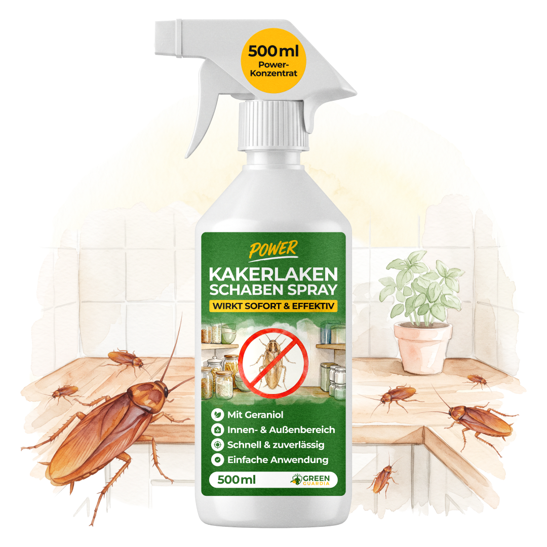 Spray anti-cafards concentré-500 ml