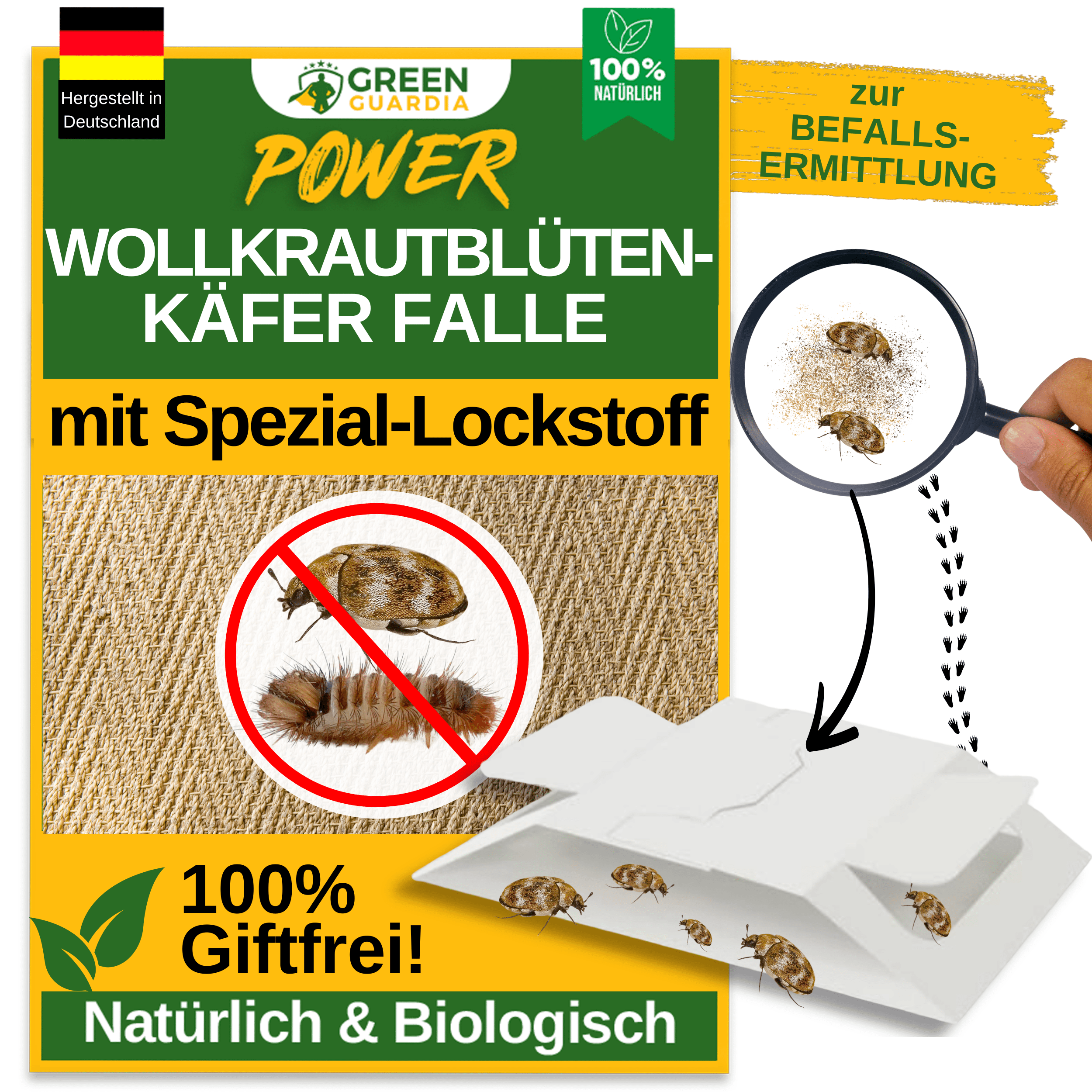 Wollkrautblütenkäfer Falle mit Spezial - Lockstoff - Green Guardia - Ihr Experte für Schädlinge und Pflanzen