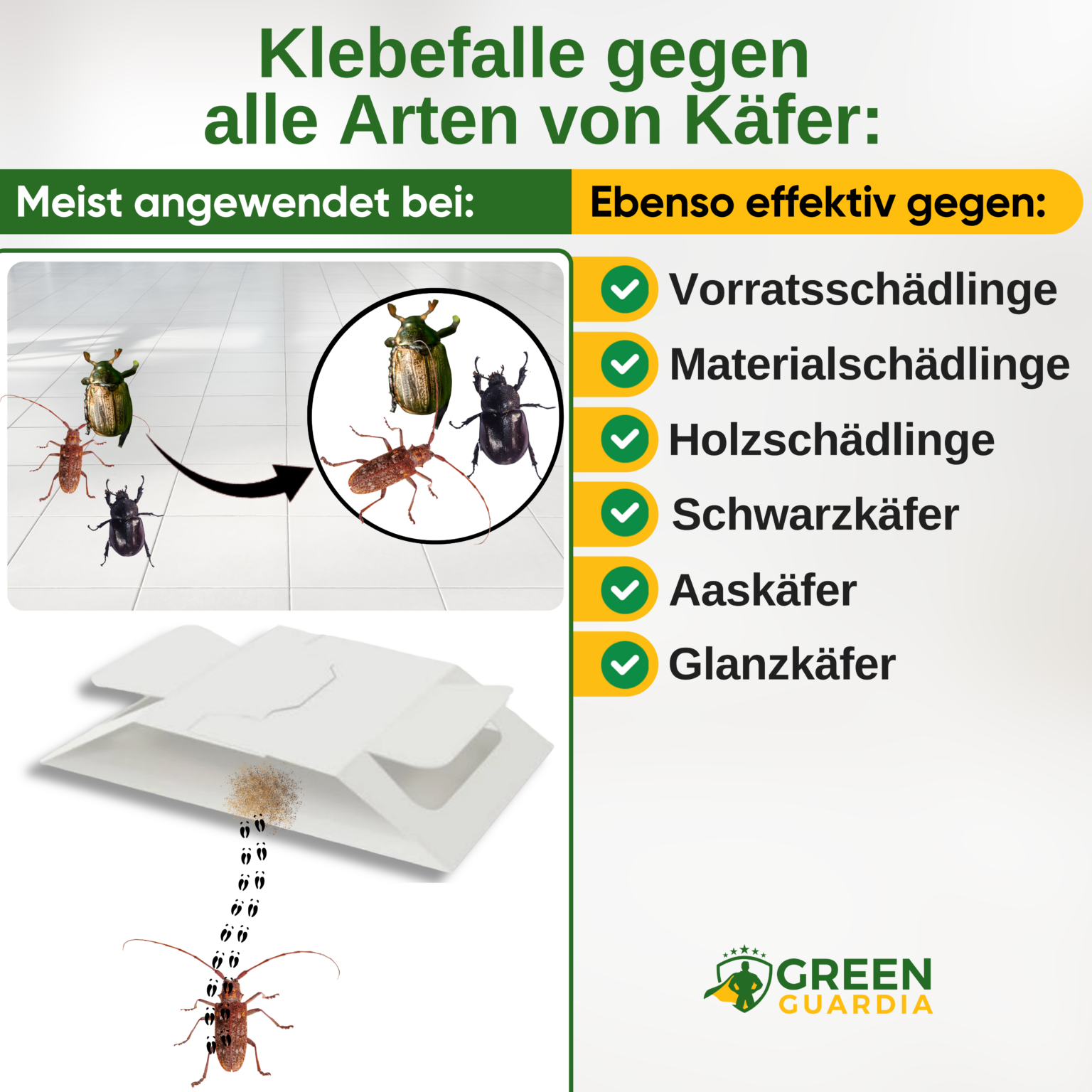 Piège à coléoptères avec attractif spécial 