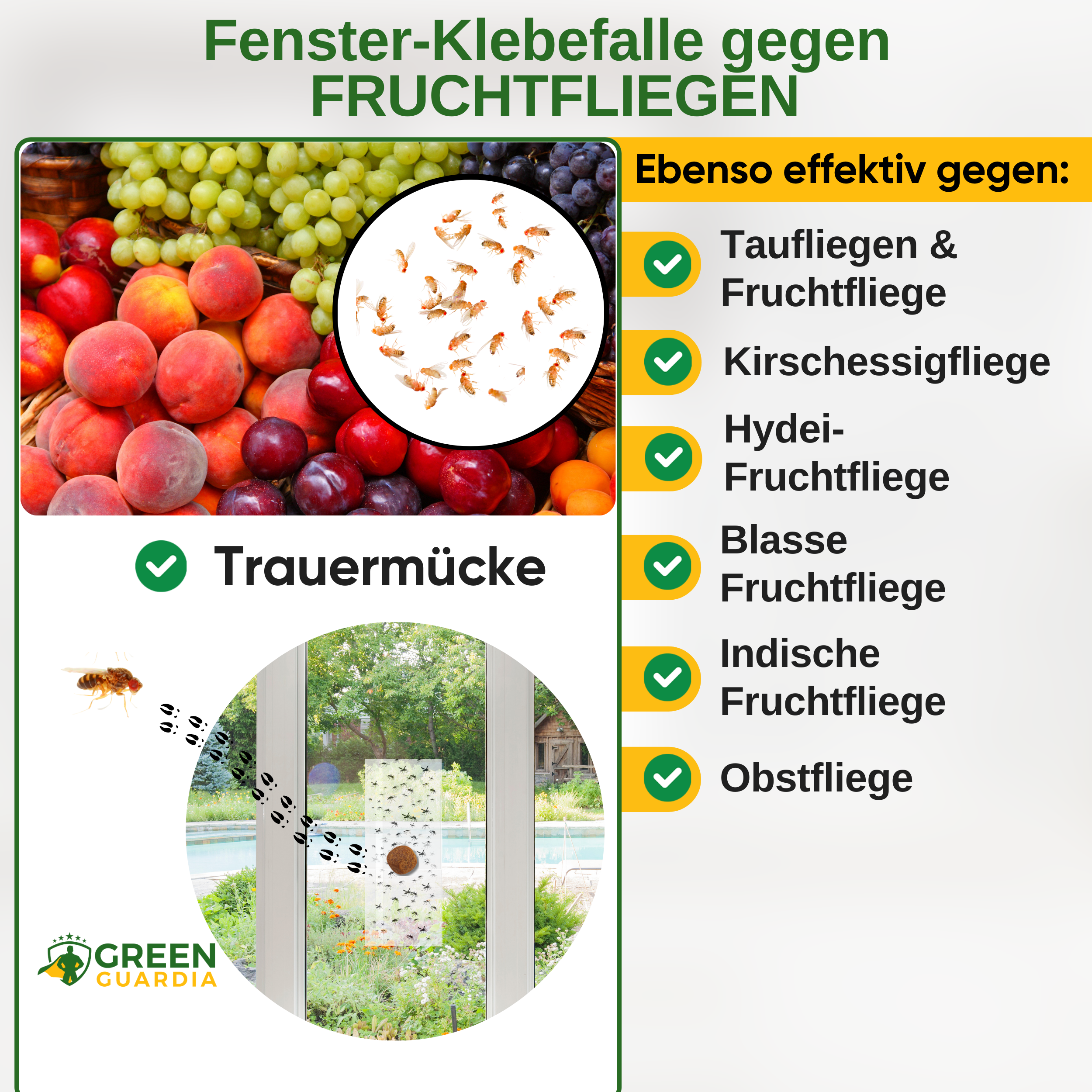 Piège à mouches des fruits pour fenêtre avec attractif spécial 