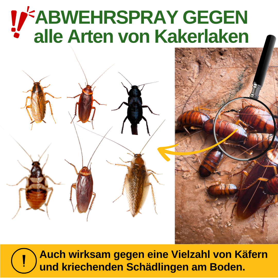 Spray répulsif puissant contre les cafards 