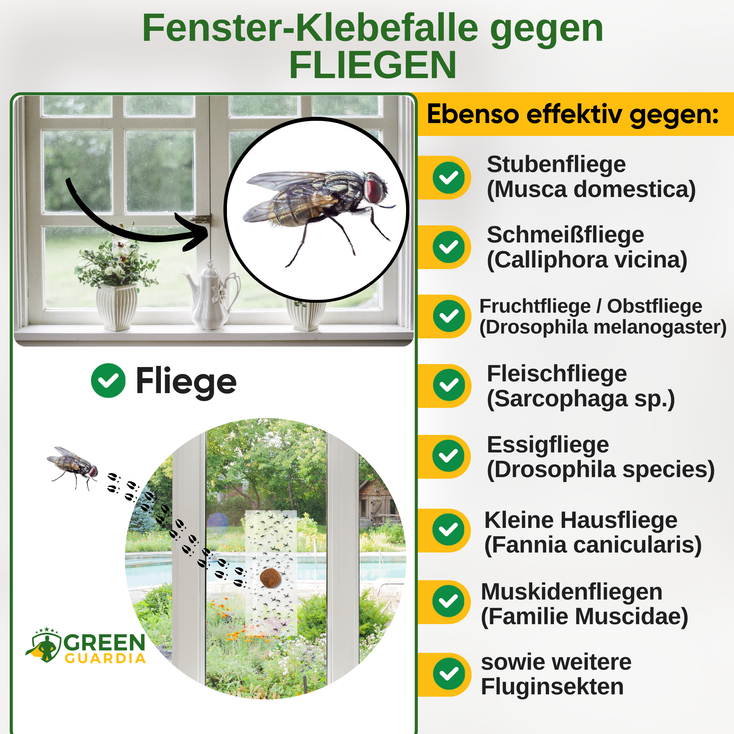 Piège à mouches pour fenêtre avec attractif spécial 