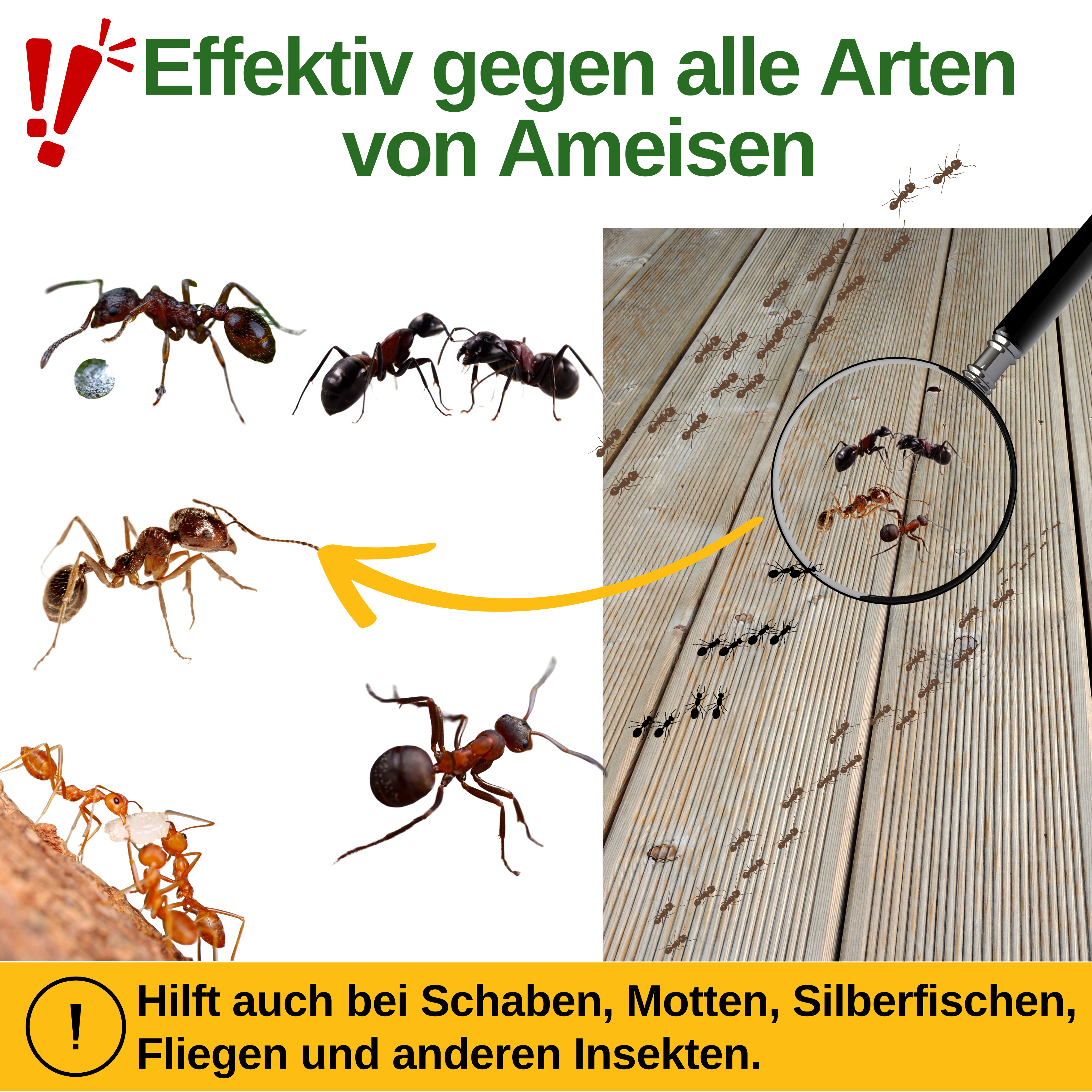 Spray répulsif anti-fourmis concentré puissant 