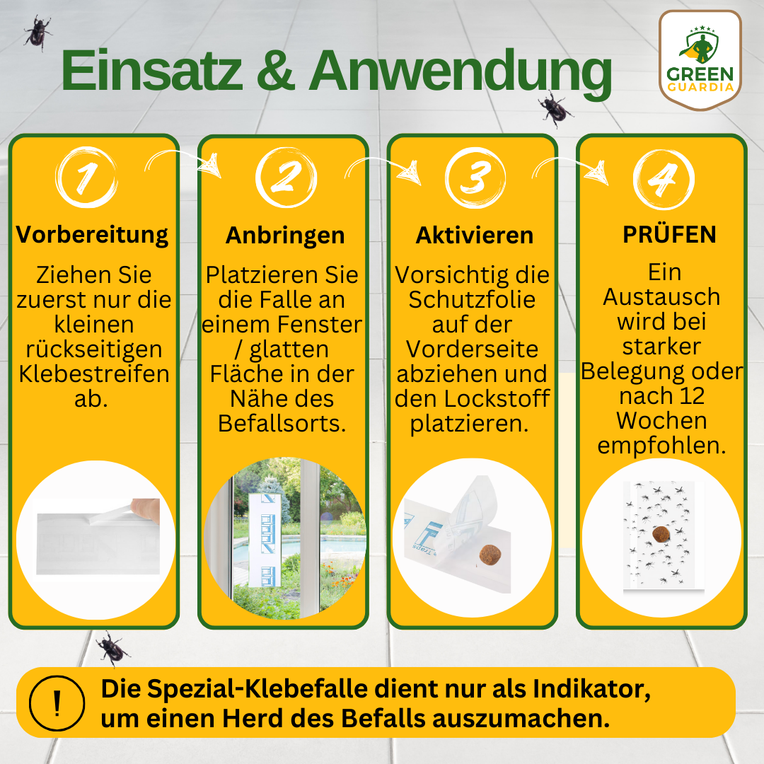Brotkäfer Fenster-Falle mit Spezial-Lockstoff