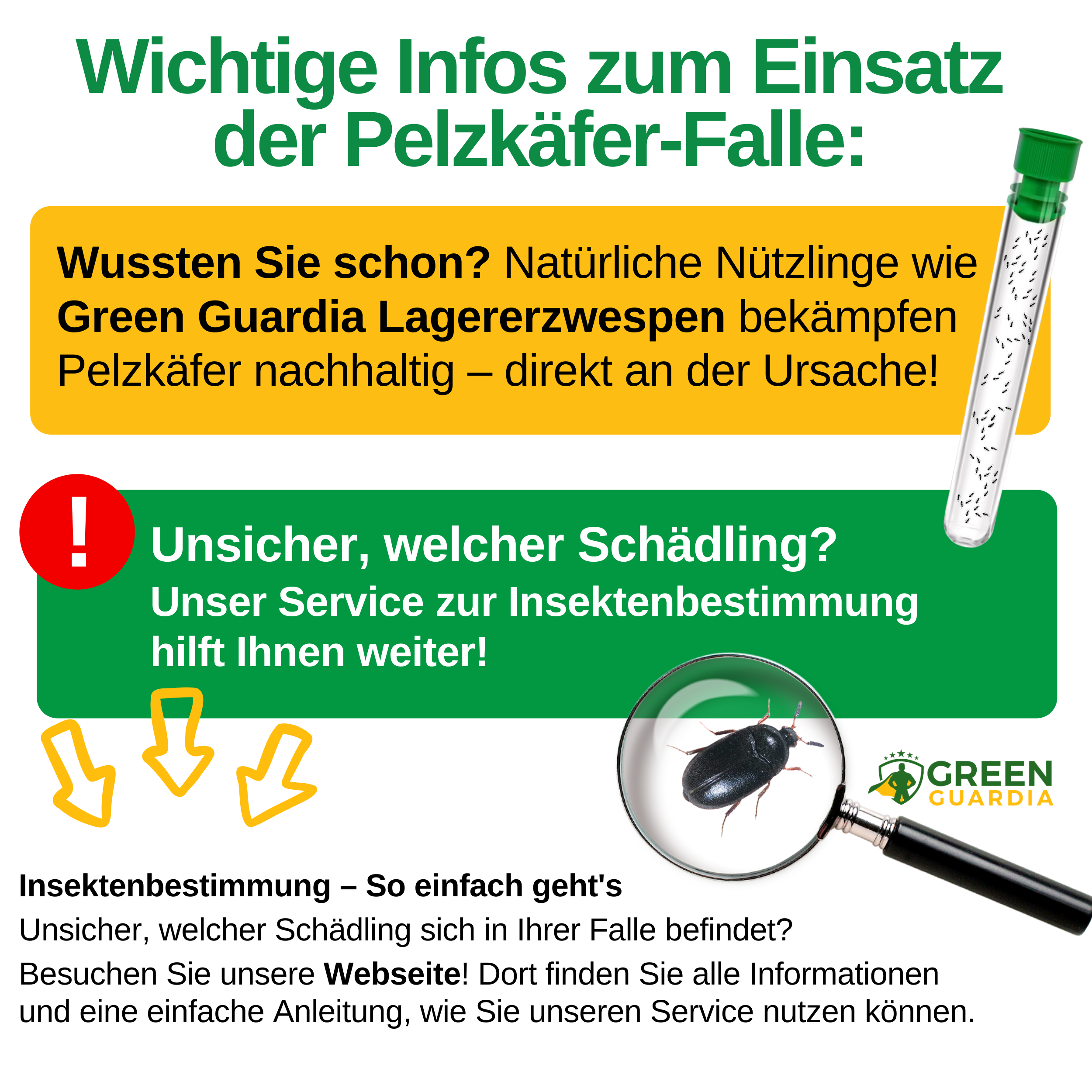 Pelzkäfer Falle mit Pheromon-Lockstoff