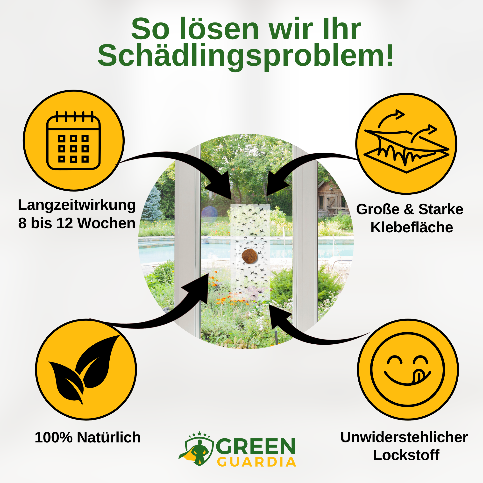 Brotkäfer Fenster-Falle mit Spezial-Lockstoff