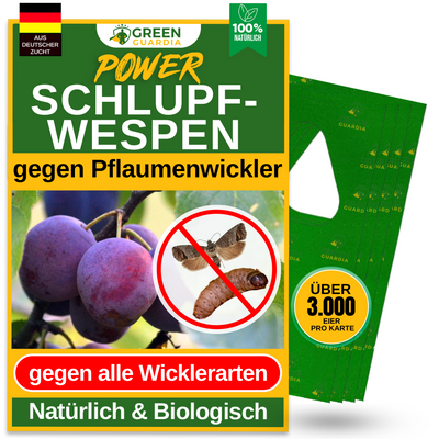 Avispas parásitas contra polillas de la ciruela