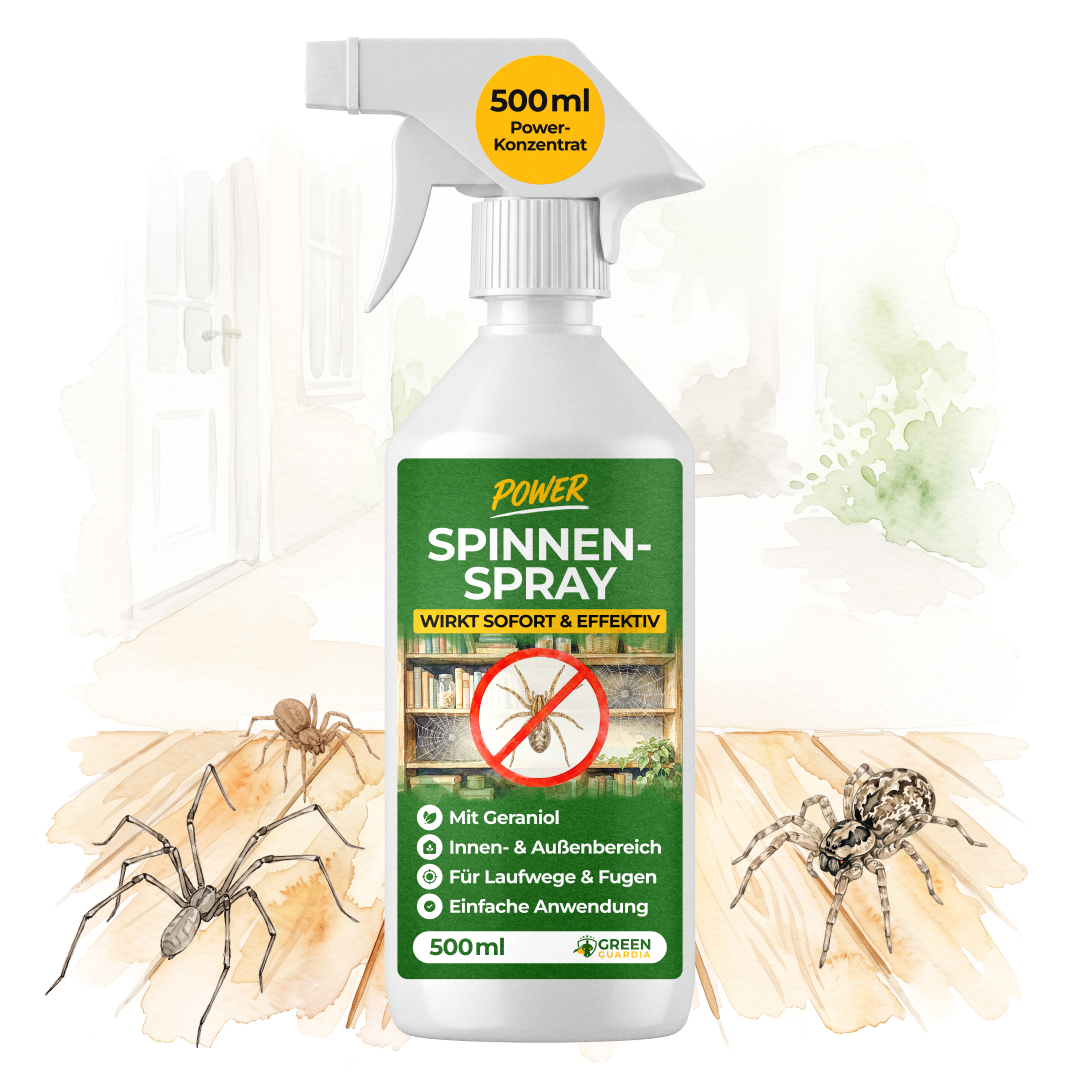 Repelente de arañas en spray concentrado - 500 ml