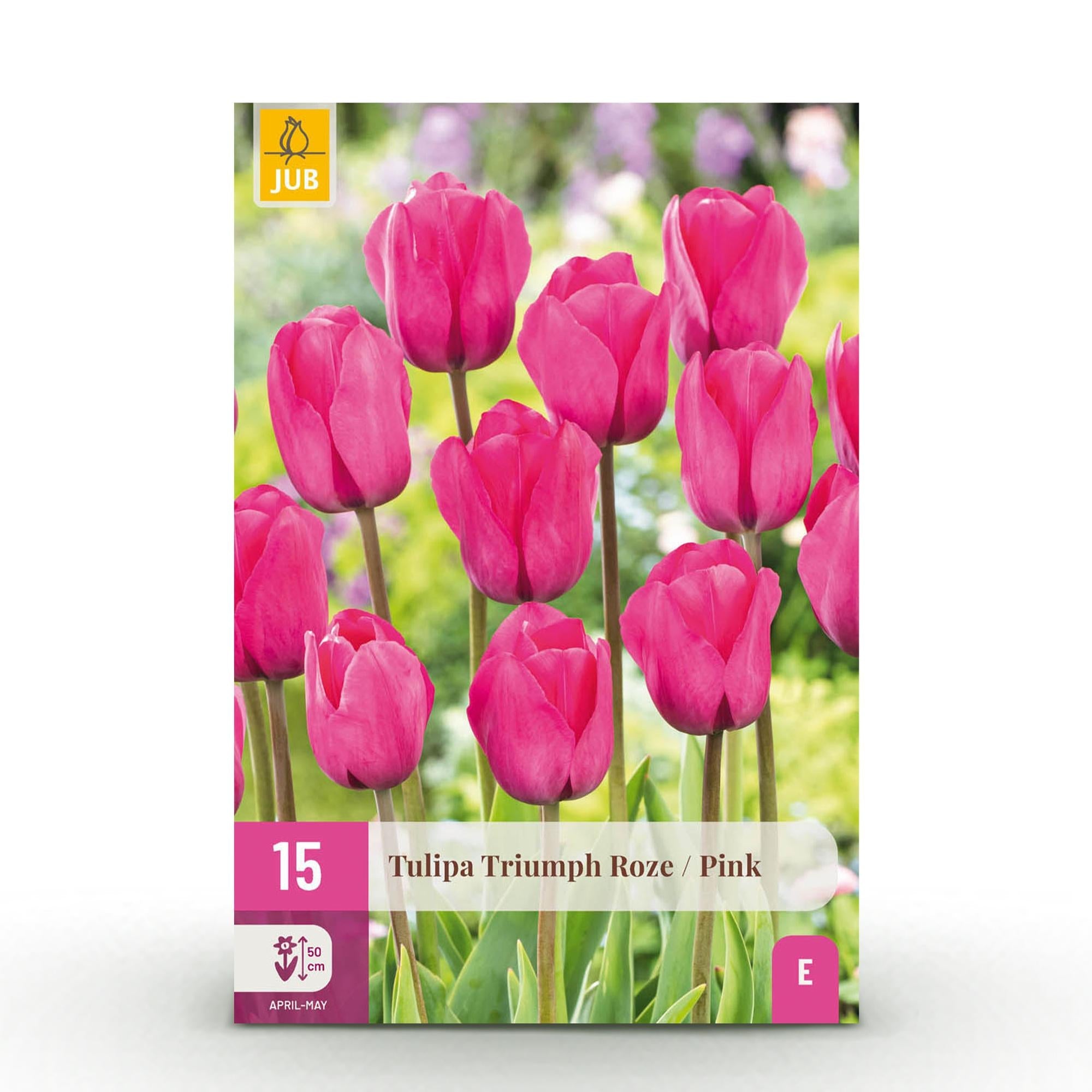 Blumenzwiebeln – Tulpe Triumph ‘Pink’ – winterhart & mehrjährig – rosa – 15 Stück – Zwiebelgröße 11/12 – XXL Pack - Green Guardia - Ihr Experte für Schädlinge und Pflanzen
