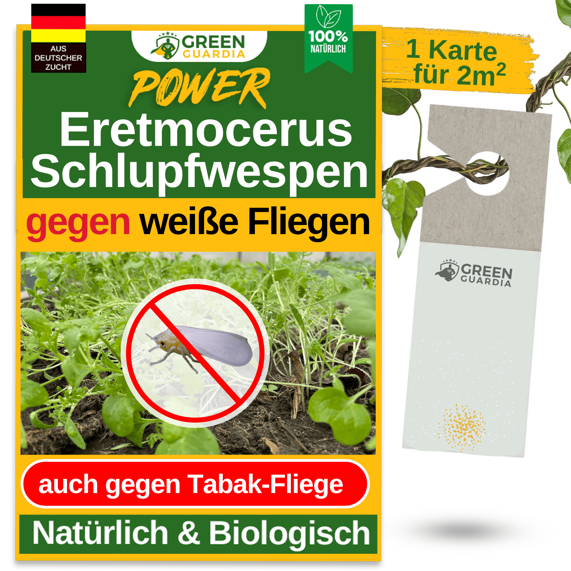 Eretmocerus - Schlupfwespen gegen Weiße - & Tabak Fliegen - Green Guardia - Ihr Experte für Schädlinge und Pflanzen