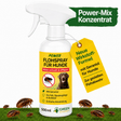 Flöhe Abwehrspray Power-Konzentrat für Hunde - 500ml