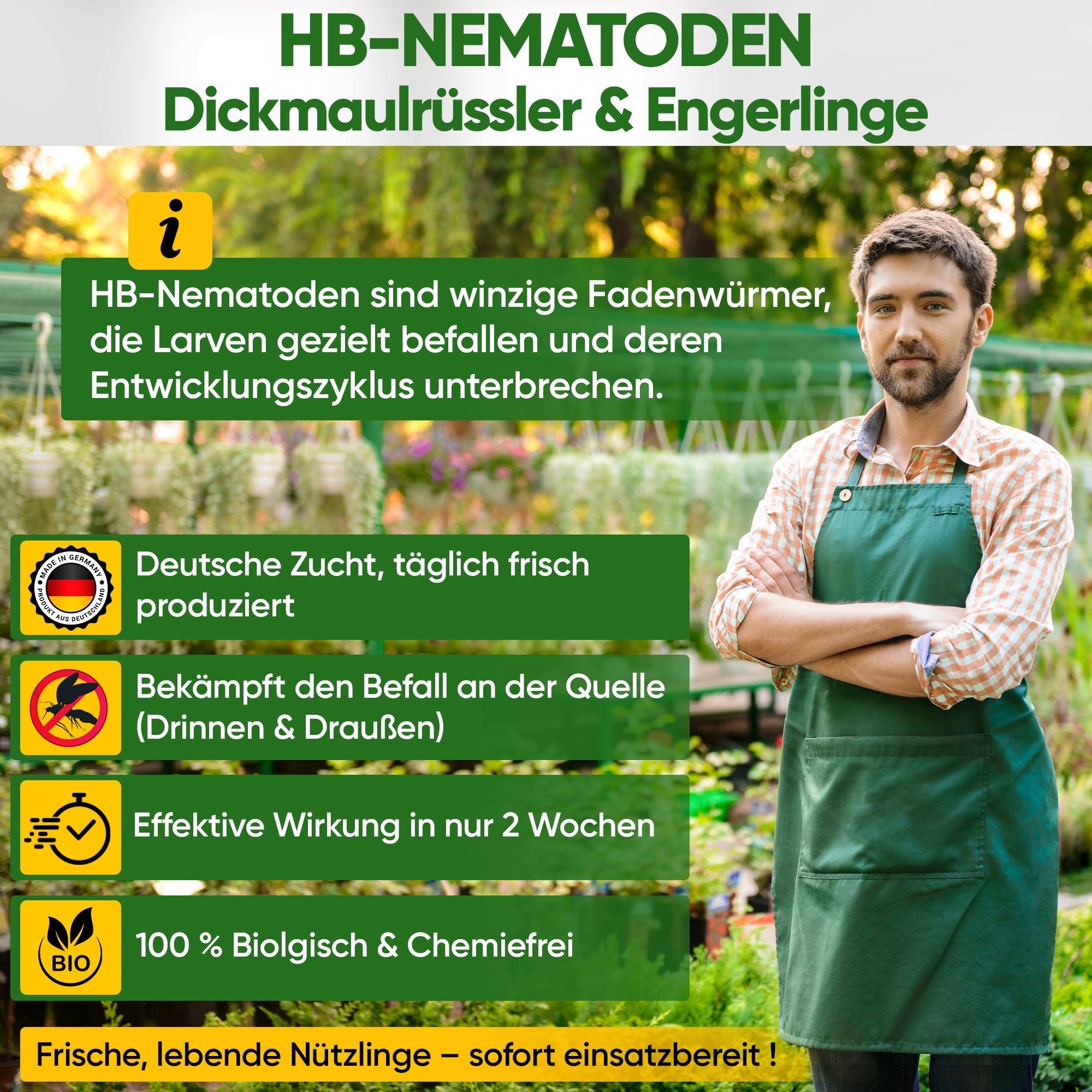 HB - Nematoden gegen Dickmaulrüssler & Engerlinge - Green Guardia - Ihr Experte für Schädlinge und Pflanzen