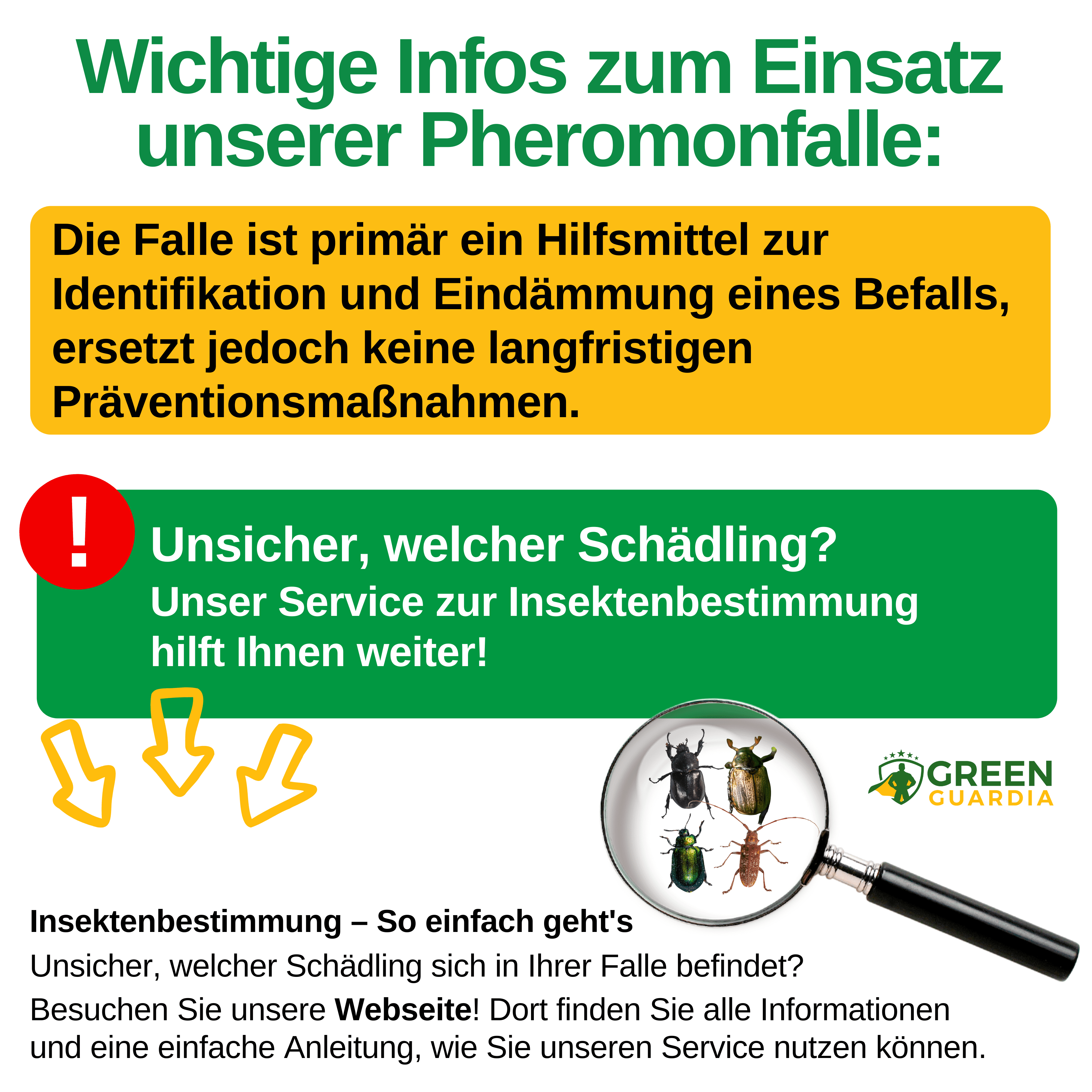 Käfer Falle mit Pheromon - Lockstoff - Green Guardia - Ihr Experte für Schädlinge und Pflanzen