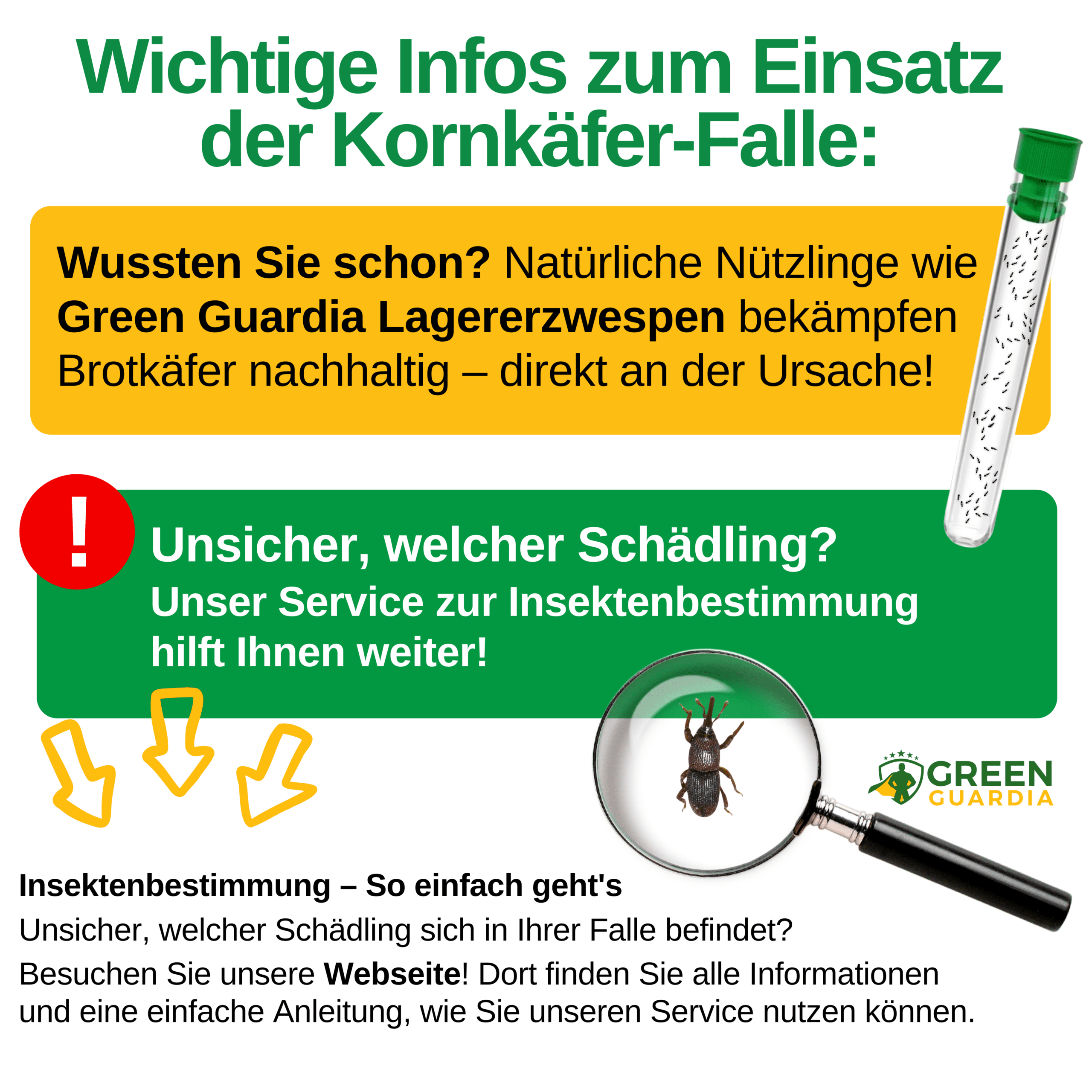 Kornkäfer Falle mit Spezial - Lockstoff - Green Guardia - Ihr Experte für Schädlinge und Pflanzen