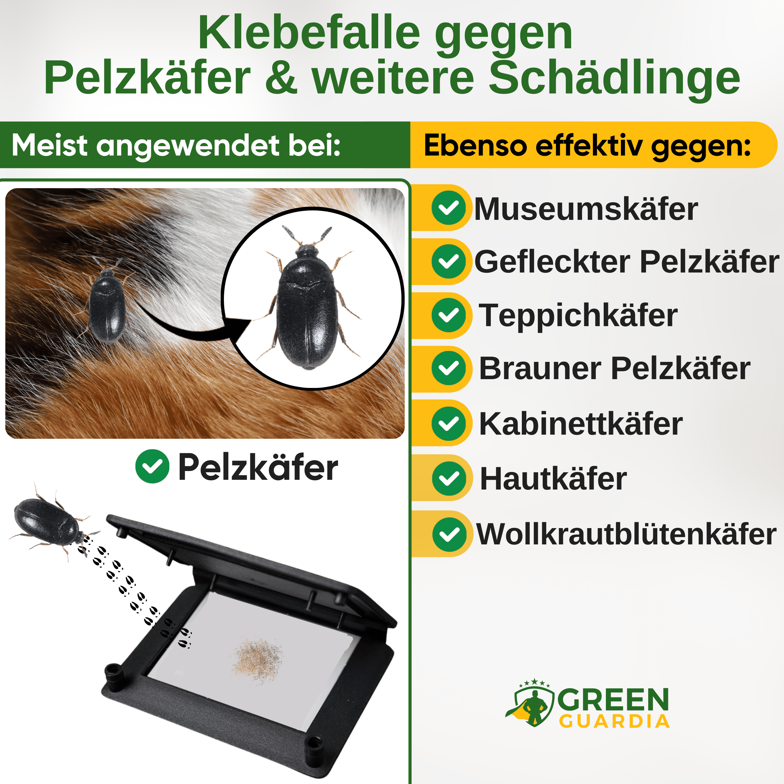 Pelzkäfer Falle mit Pheromon - Lockstoff - Green Guardia - Ihr Experte für Schädlinge und Pflanzen