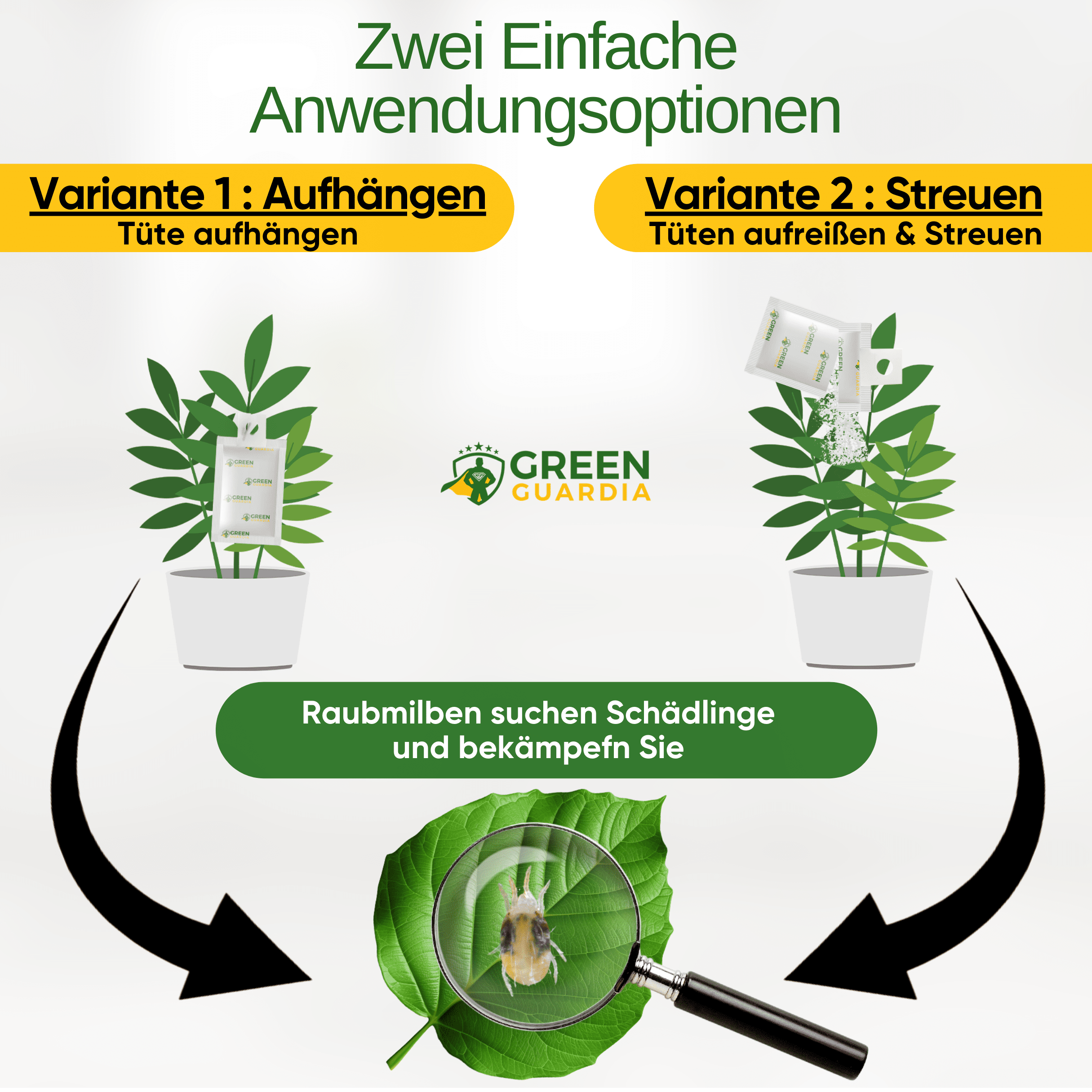 Raubmilben gegen Spinnmilben zum Aufhängen oder Streuen - Green Guardia - Ihr Experte für Schädlinge und Pflanzen