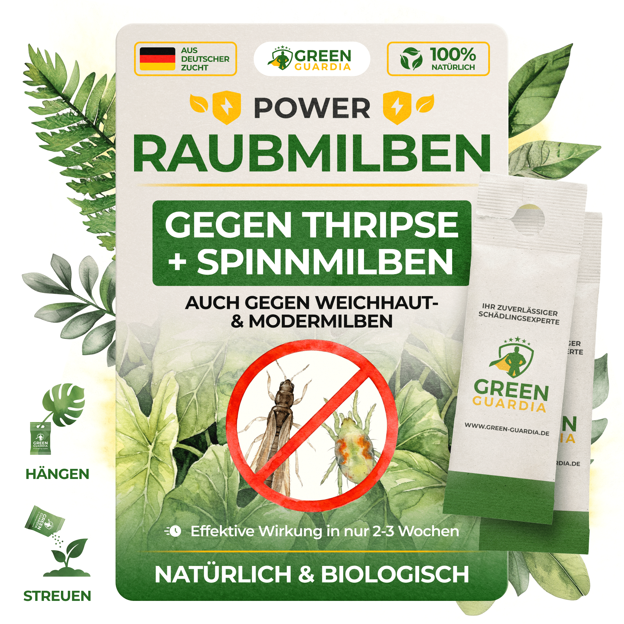 Raubmilben Mix gegen Thripse & Spinnmilben - Green Guardia - Ihr Experte für Schädlinge und Pflanzen