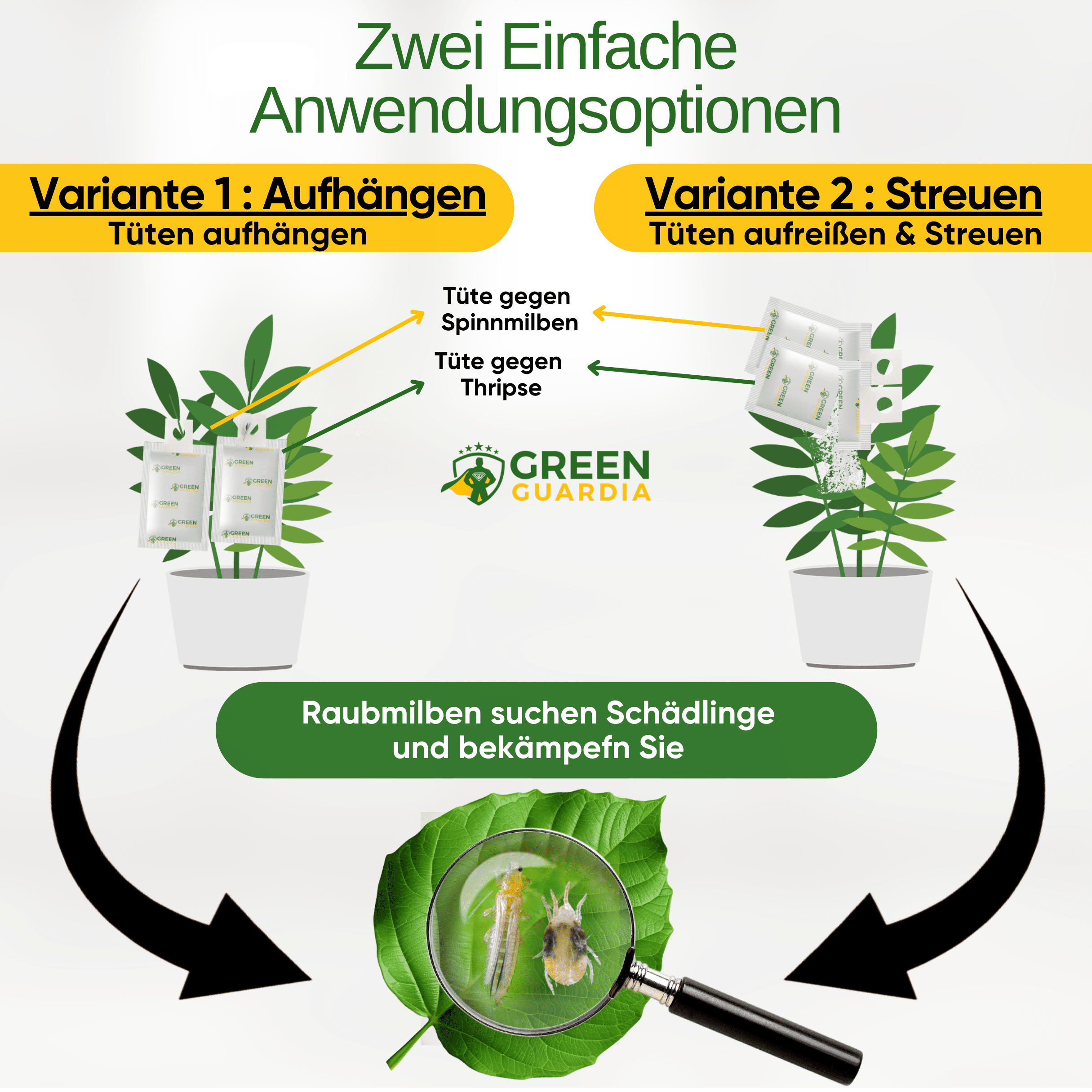 Raubmilben Mix gegen Thripse & Spinnmilben zum Aufhängen oder Streuen - Green Guardia - Ihr Experte für Schädlinge und Pflanzen