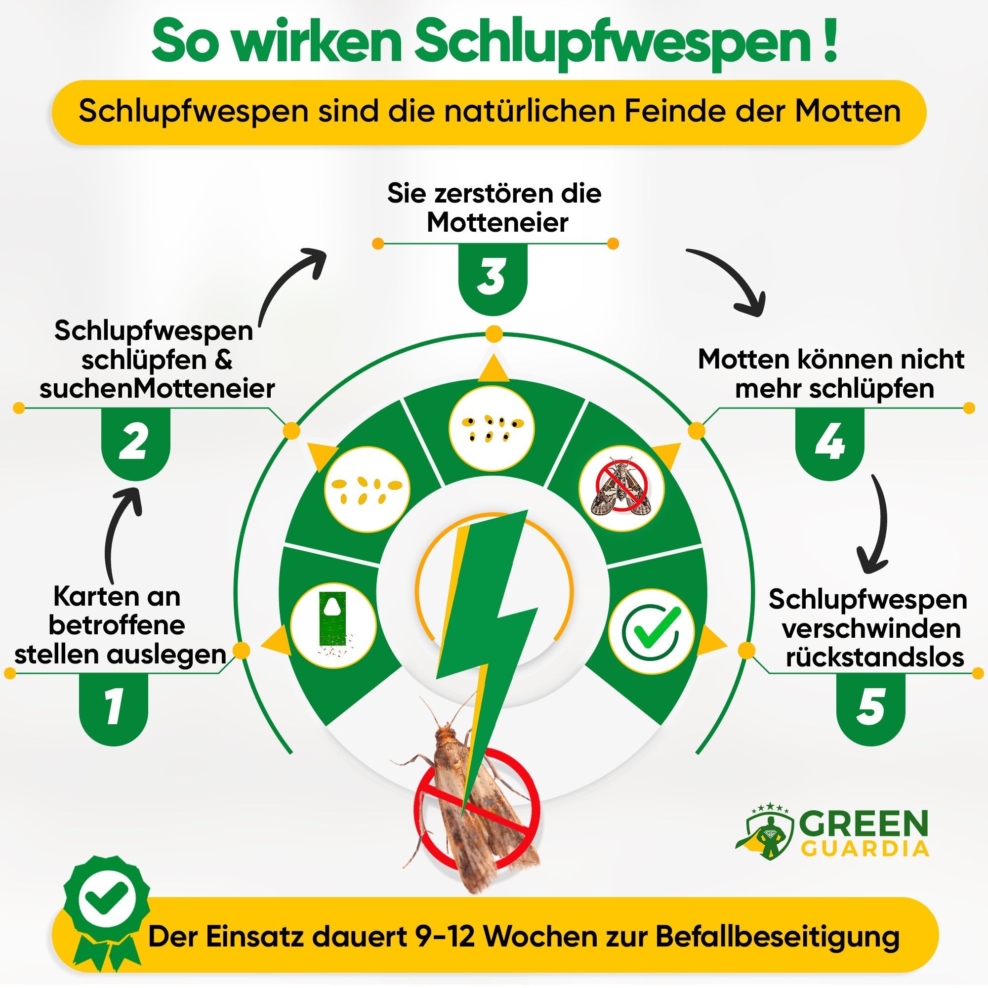 Schlupfwespen gegen Kleidermotten - Green Guardia - Ihr Experte für Schädlinge und Pflanzen