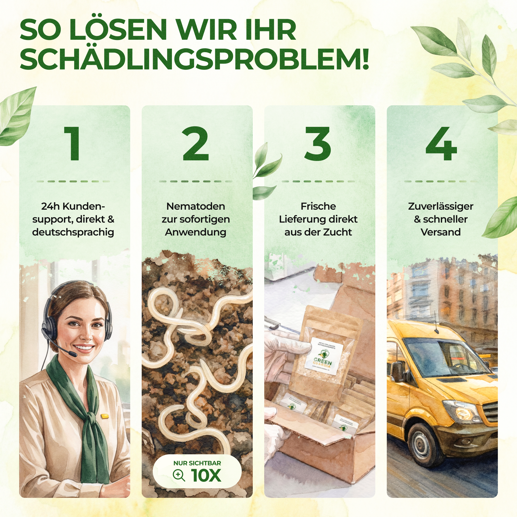Nematoden gegen Kirschfruchtfliegen