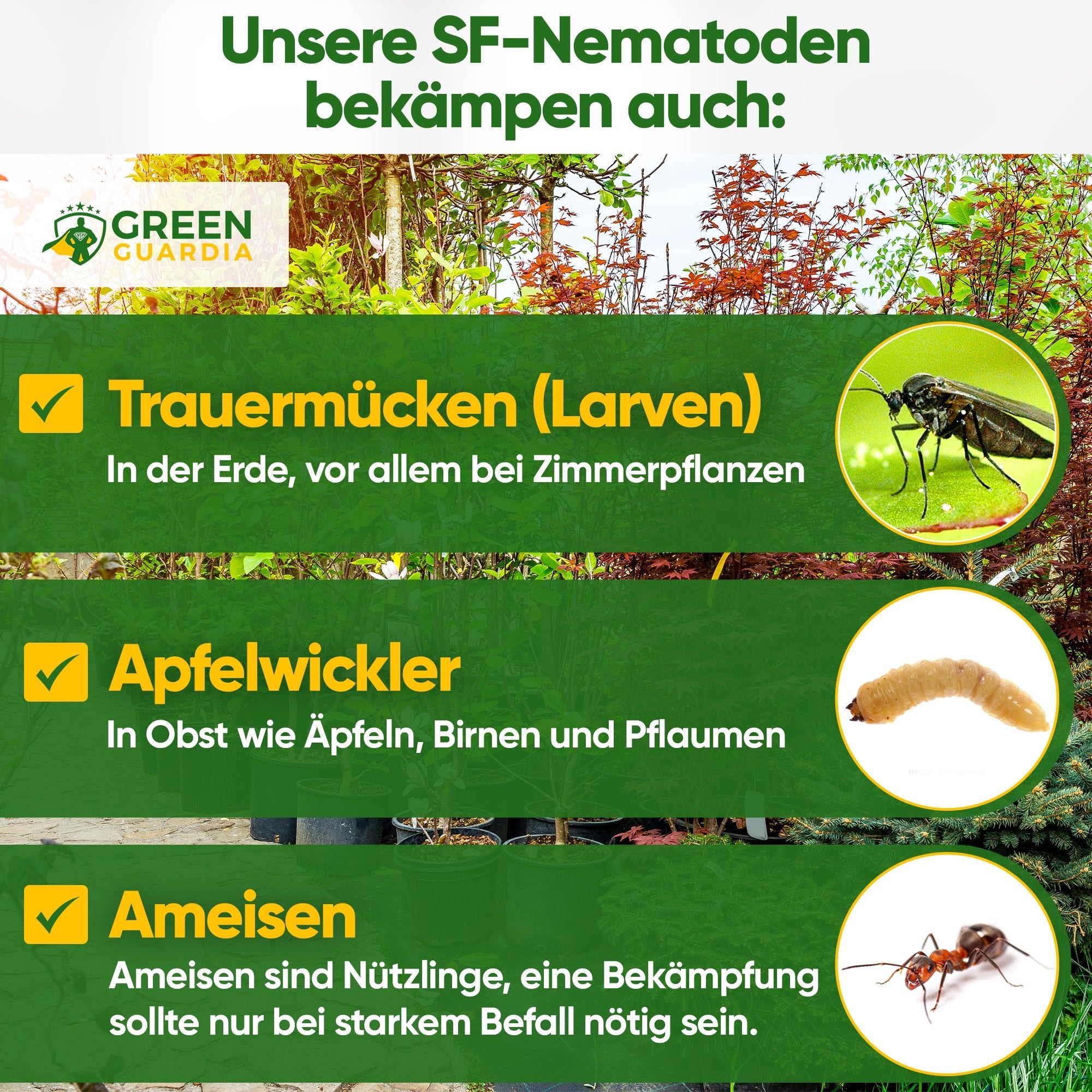SF - Nematoden gegen Trauermücken, Apfelwickler & Ameisen - Green Guardia - Ihr Experte für Schädlinge und Pflanzen