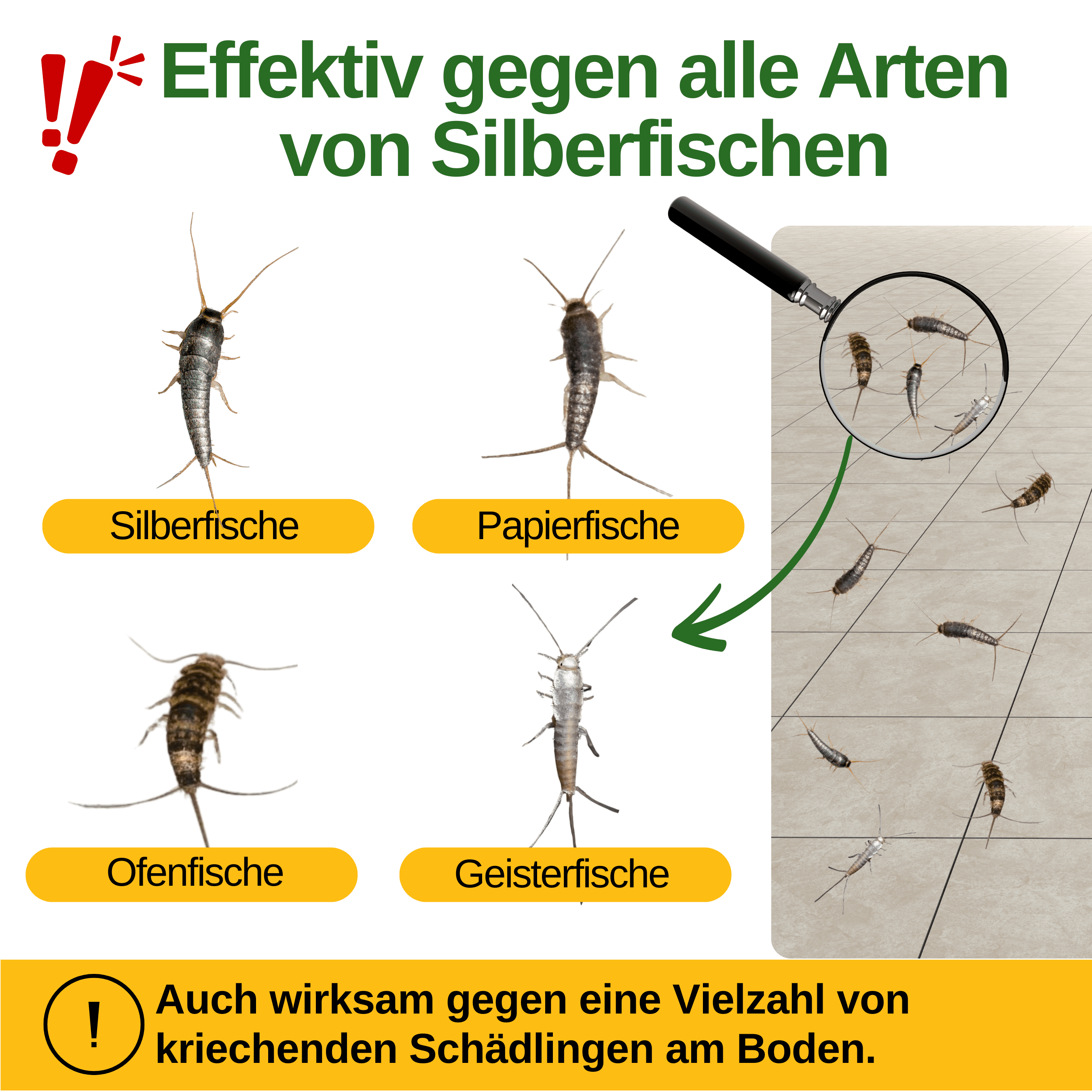 Silberfisch Falle mit Pheromon - Lockstoff - Green Guardia - Ihr Experte für Schädlinge und Pflanzen