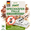 Speckkäfer Falle