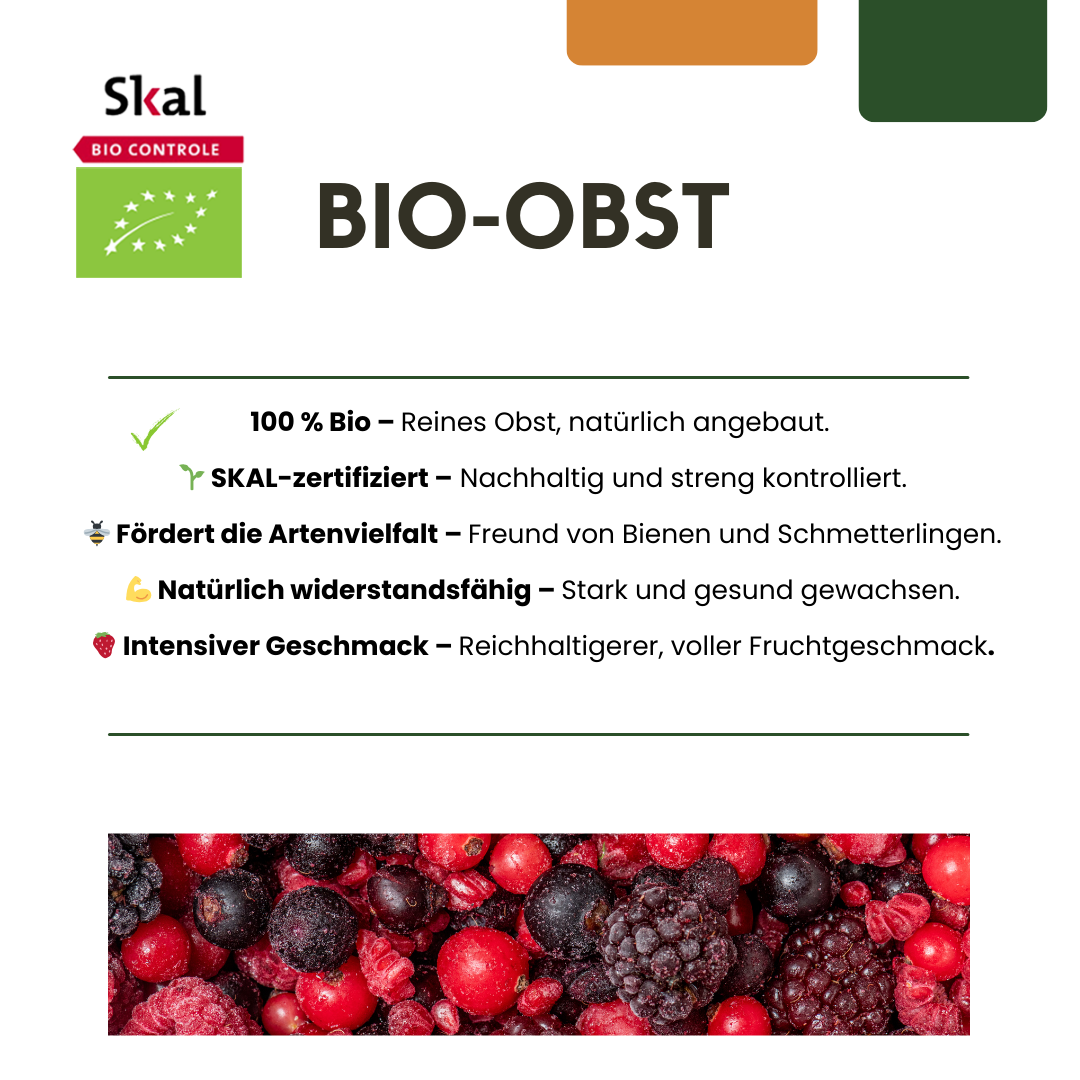 BIO Obstpflanzen-Mix „Sommerfrüchte“ – Set mit 4 Sorten